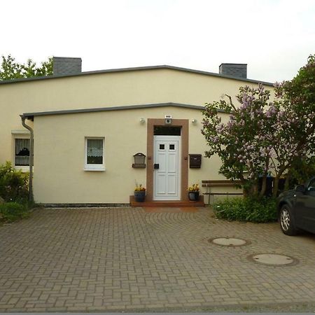 Pension Rosenvilla Sedlitz Exterior foto